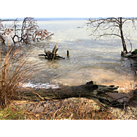 King tide Williamsburg in James city County image